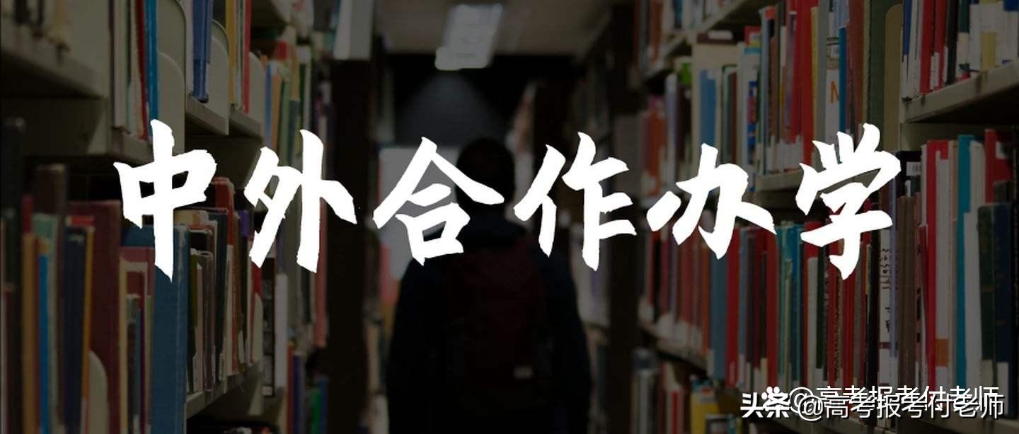 2022年吉林中外合作办学有哪些院校？专业合作院校、是否可调剂？