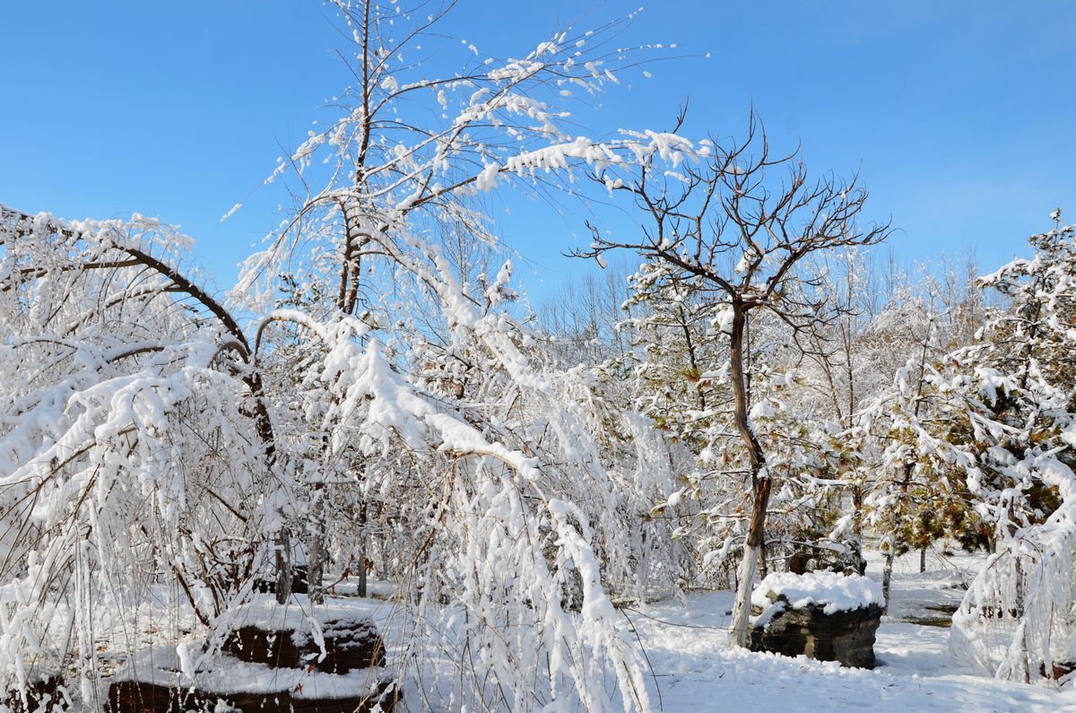 24时节大雪祝福语朋友圈说说短句