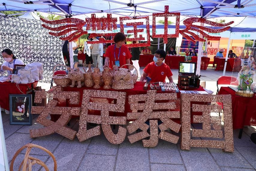 奋斗百年路 启航新征程——中国艺术传承人物杜培兰