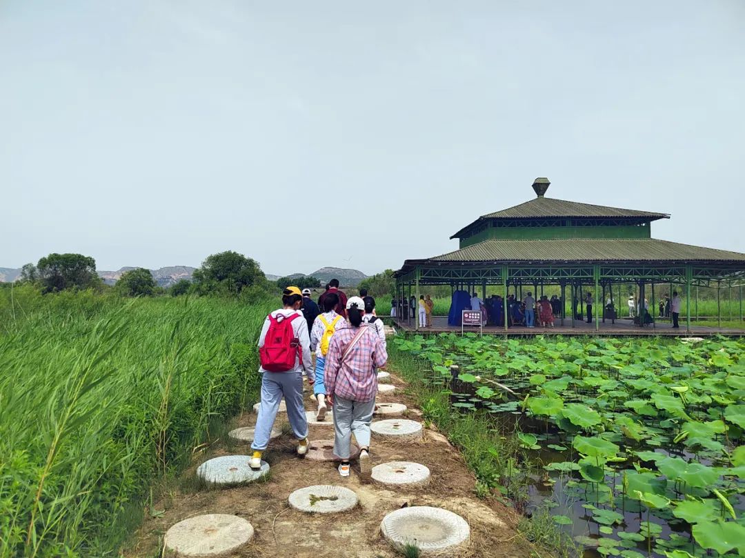 看這里,！夏日在洽川濕地的N種打開方式