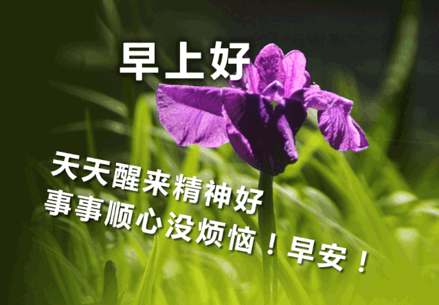 美好温暖的早上好动态祝福说说图片 不管多远的路，都能走到尽头图片