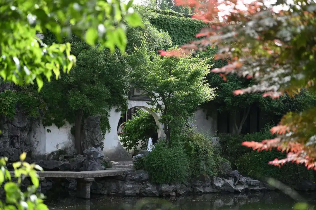 苏州园林特辑 | 待春暖花开之时，相约绝色江南，来一场寻梦之旅