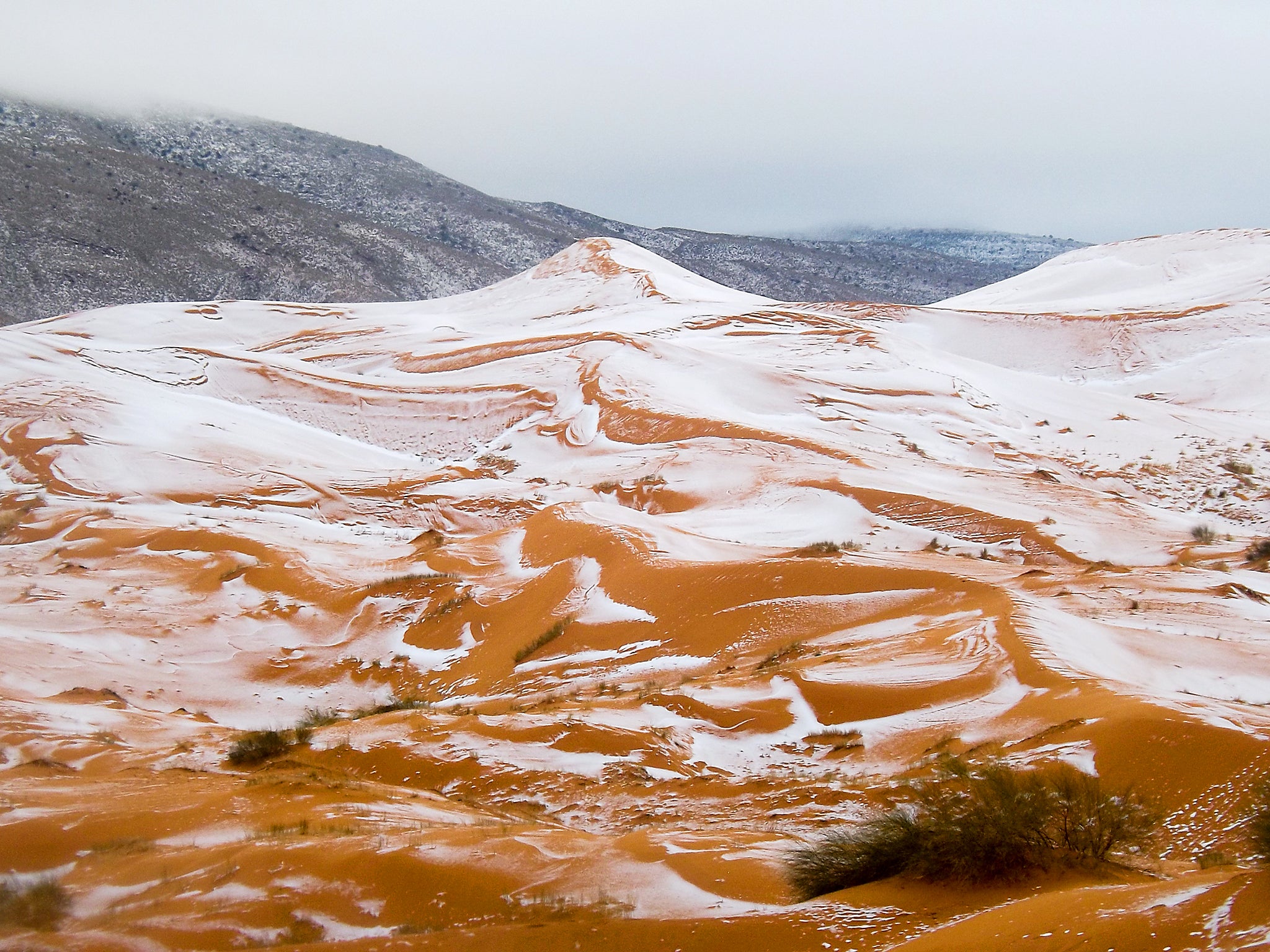 撒哈拉沙漠下雪了！气象专家：这就是全球变暖的证据