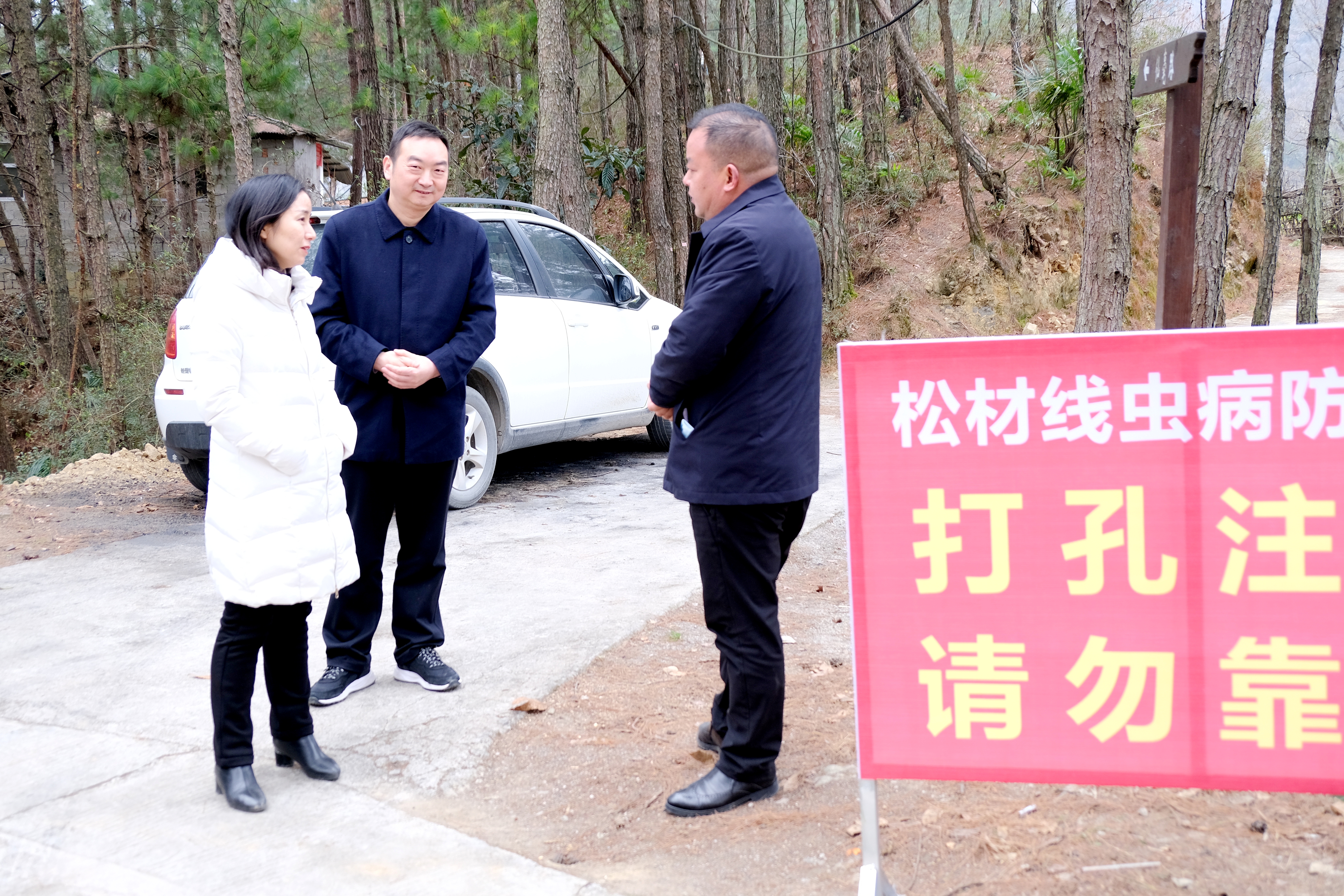 镇巴县委副书记张海燕到镇（办）检查指导当前林业重点工作
