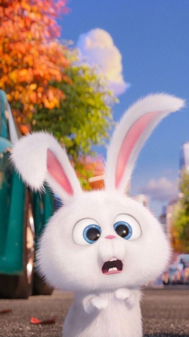 「热门」大白兔的故事200字-偏关微生活