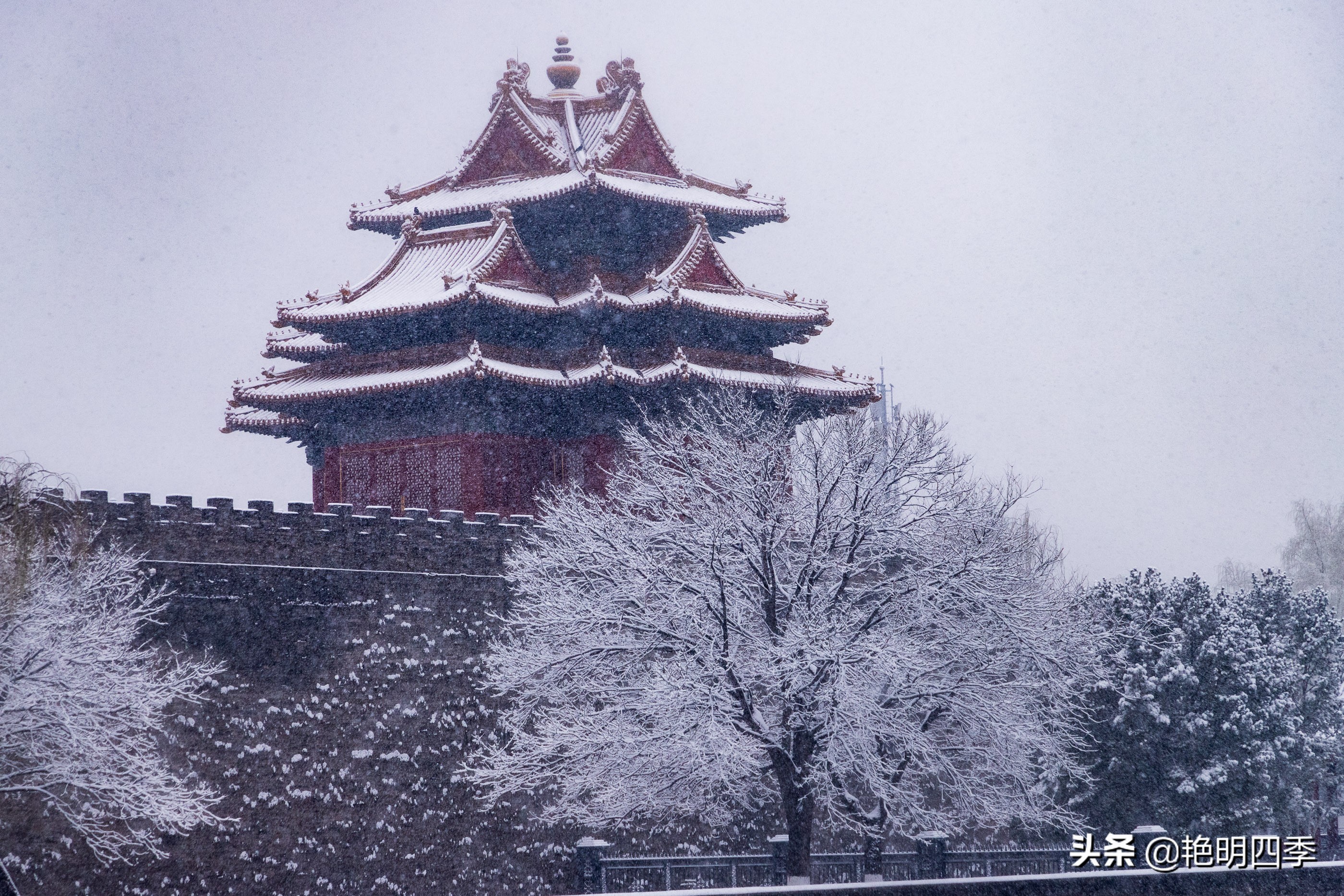 春天里，在紫禁城看一场大雪，与冬天做一个郑重的告别