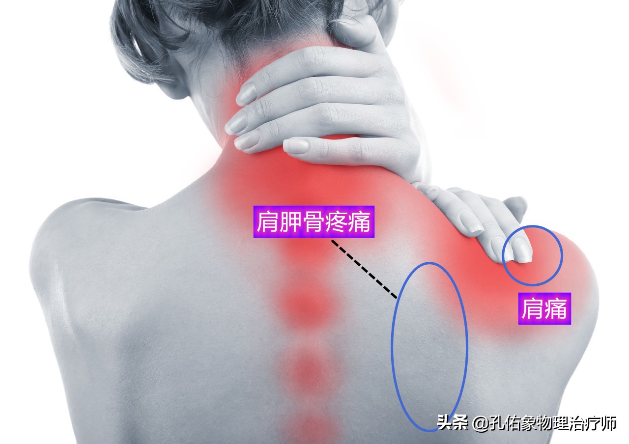 为何大多数女性一到更年期就浑身疼痛?原因就1个,早知道早受益