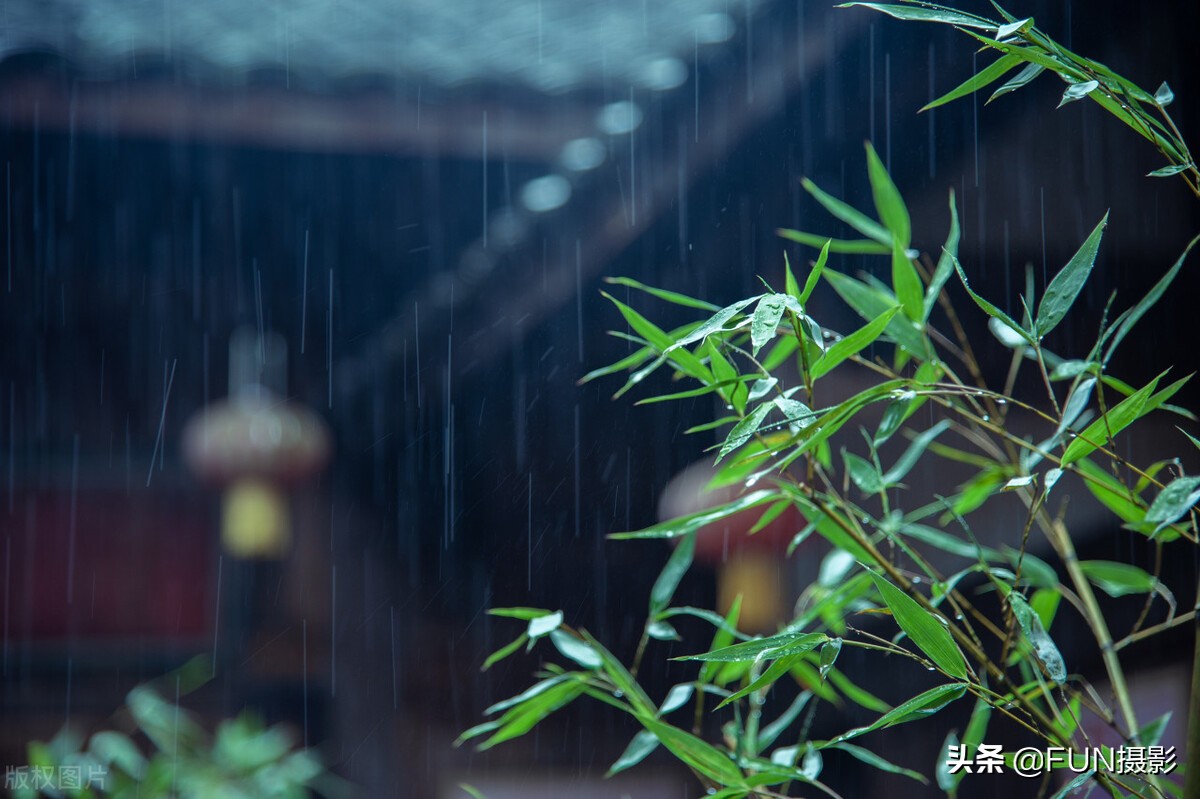 學這6個技巧，下雨天也能拍出具有故事感的攝影大片，含拍攝參數