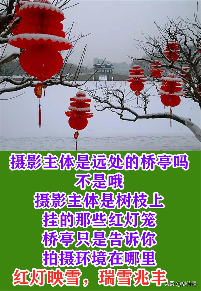 银装素裹分外妖娆，看点评学摄影，把雪景照片拍出新意