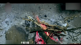 “我15岁的女儿，被他同母异父的哥哥搞怀孕了”重庆陈小华事件