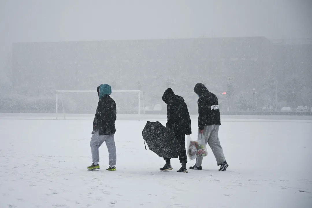 与你一起邂逅洛师初雪