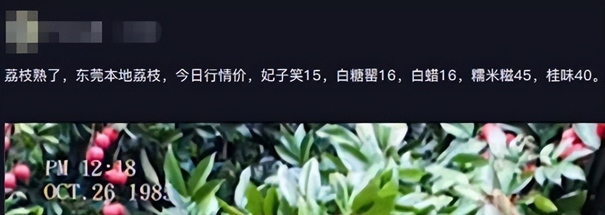 天价荔枝89元/斤？桂味变“贵味”，东莞人还吃不吃得起？
