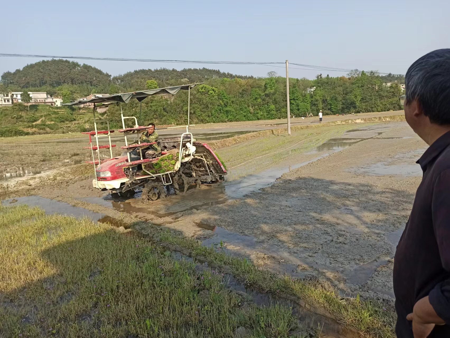 备耕防疫“齐步走”,战疫抢农“两不误”