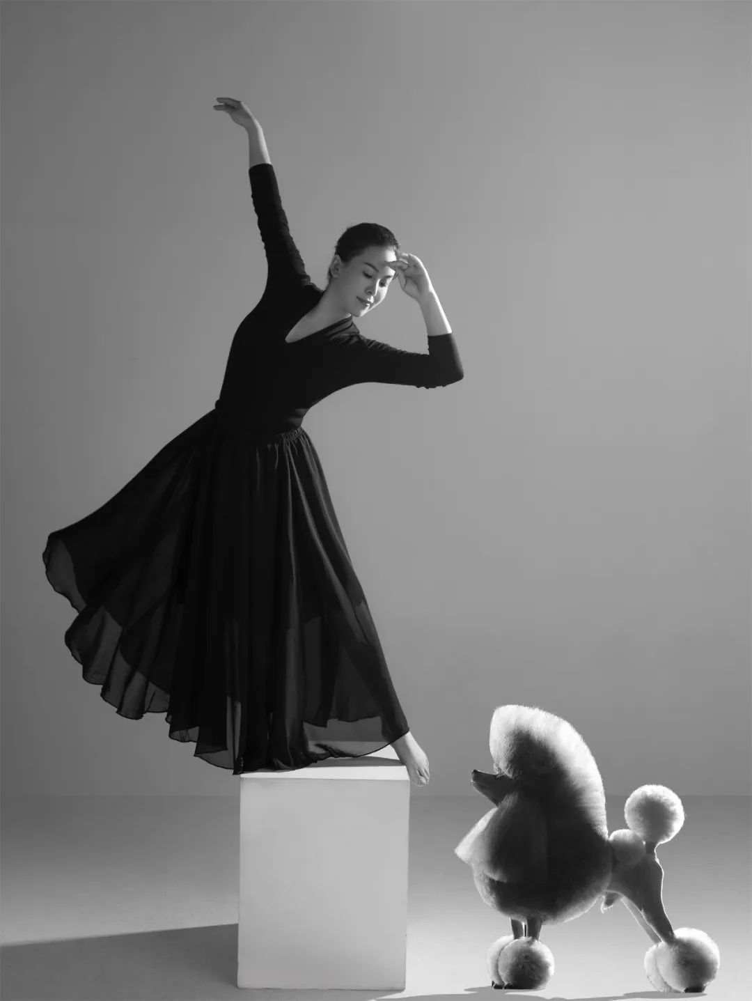 培养数万从业者，经典宠物美容陈佳炜：这是世界上最治愈的工作了