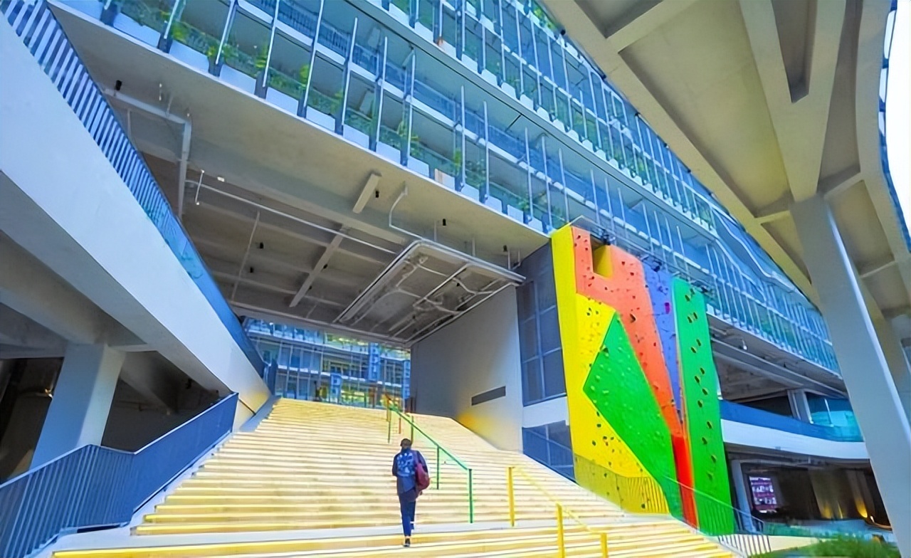 深国交艺术部2023-24年招生对象、名额、报考条件及学费标准