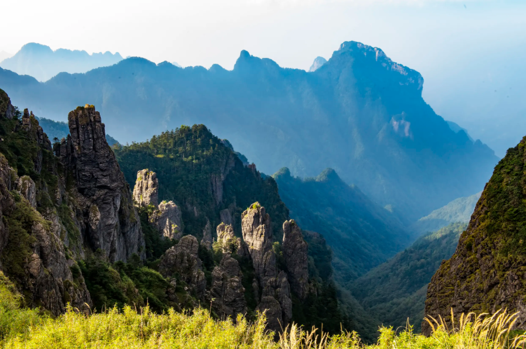 神农架深处:为什么会被列为禁区?不少神秘现象,至今难以解释-热门资讯