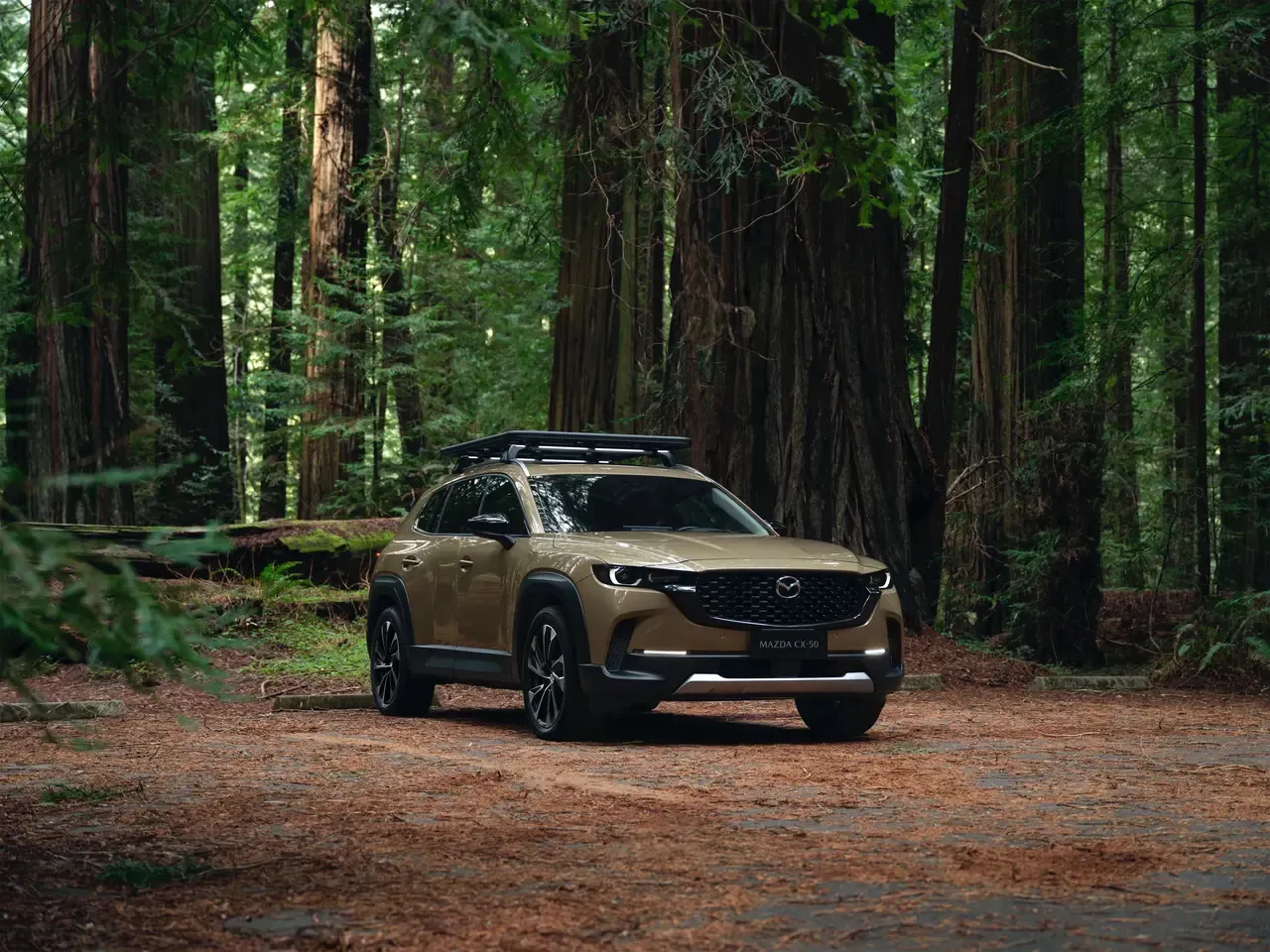 我总是向往那种山系的生活，看看山山水水好风景，而MAZDACX-50行也就可以