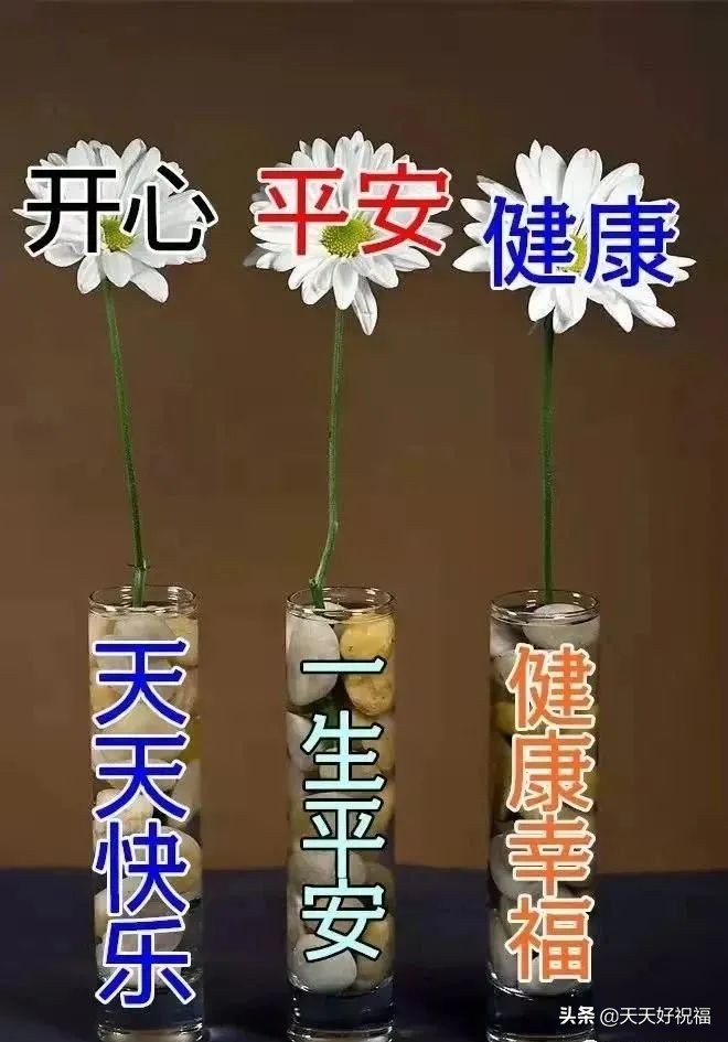 創意唯美早上好祝福語圖片大全免打字 春日清晨早安問候語圖片文字