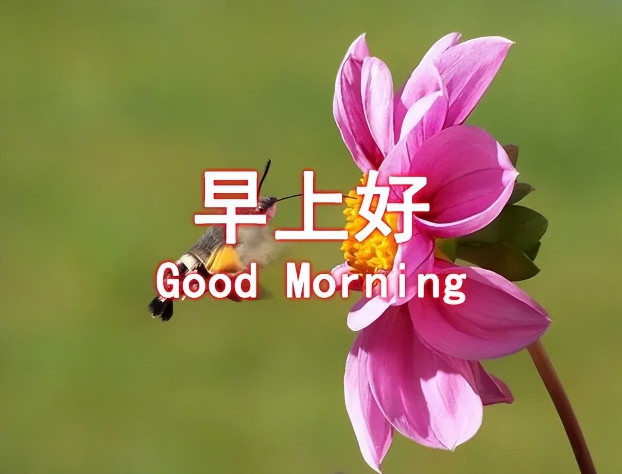 秋分早上好问候语，美好祝福问候，心情美妙，愿你开心永远图片