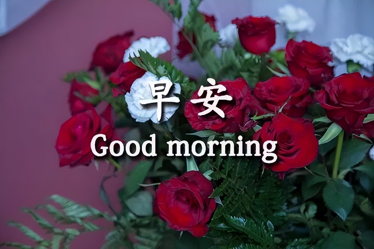 秋天漂亮的早上好表情包，温馨动态祝福图片 乐观是失意后的坦然图片