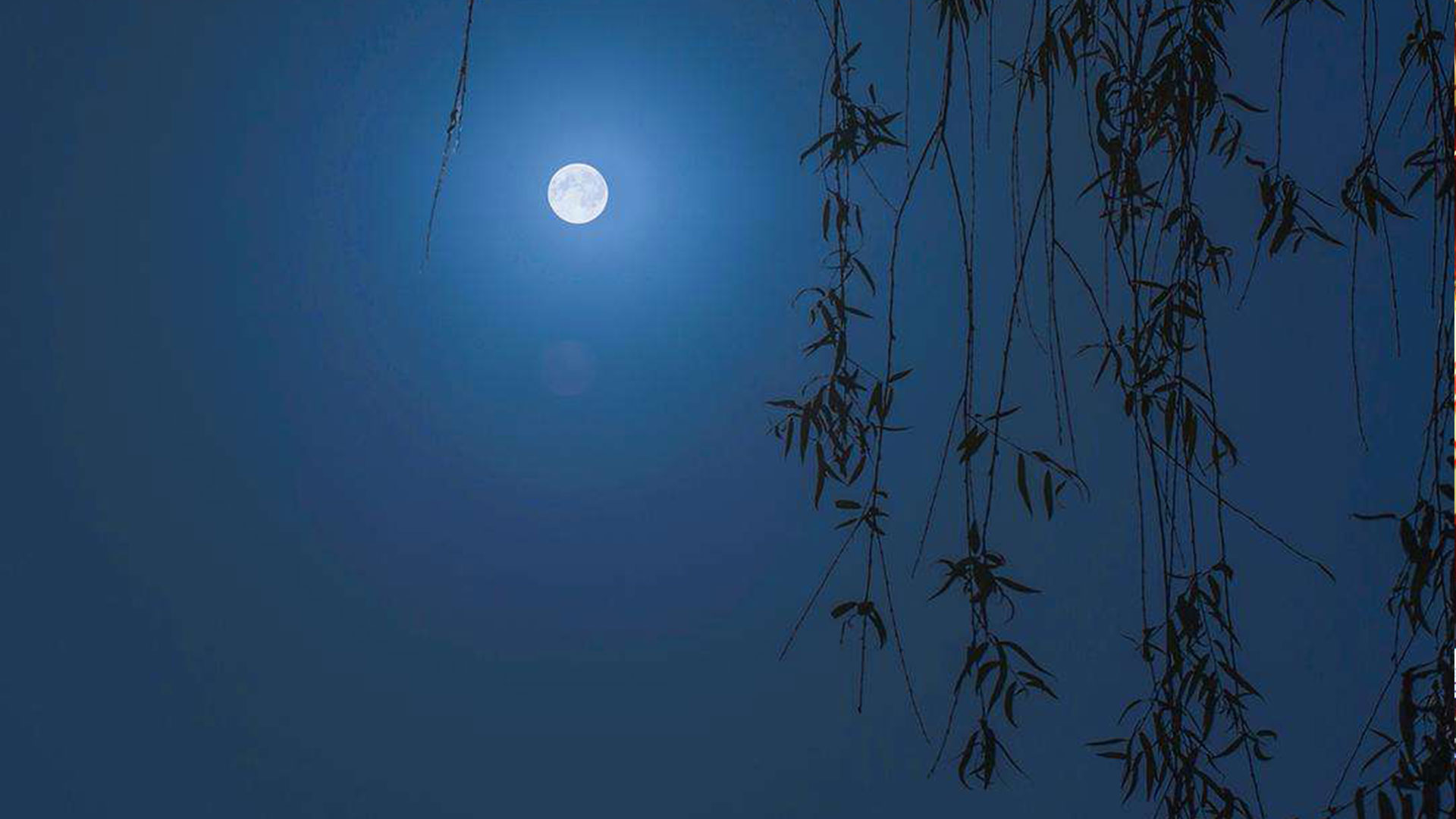 我们应该过圣诞节吗？广西一地教育局禁止师生过圣诞节