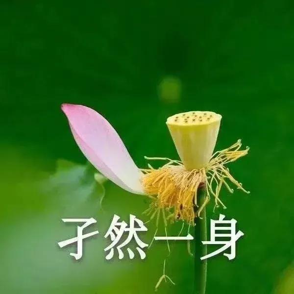 真的拜托了，12月对我好一点