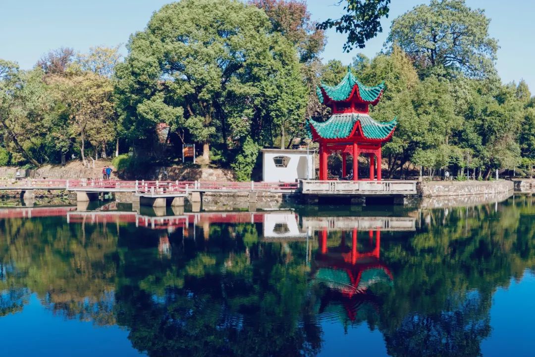 权威发布|中南大学2022年综合评价录取（湖南省）招生简章