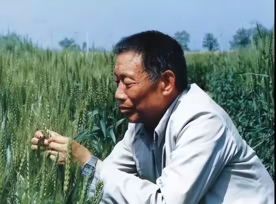 八十八载风雨路，看西北农林科技大学横戈跃马，再续华章