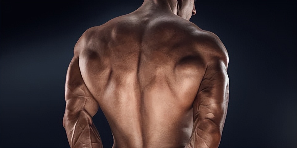 改善不良体态，不要忽视中背部的训练：6个动作帮你练出强壮背肌