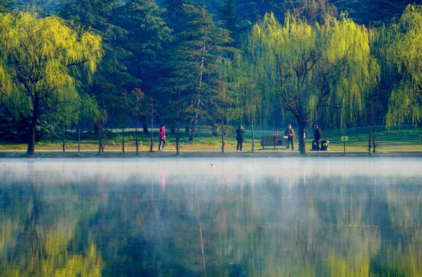 春早 春早 窗外一声啼鸟，古诗词里的早春，一起寻找早春最美的风景