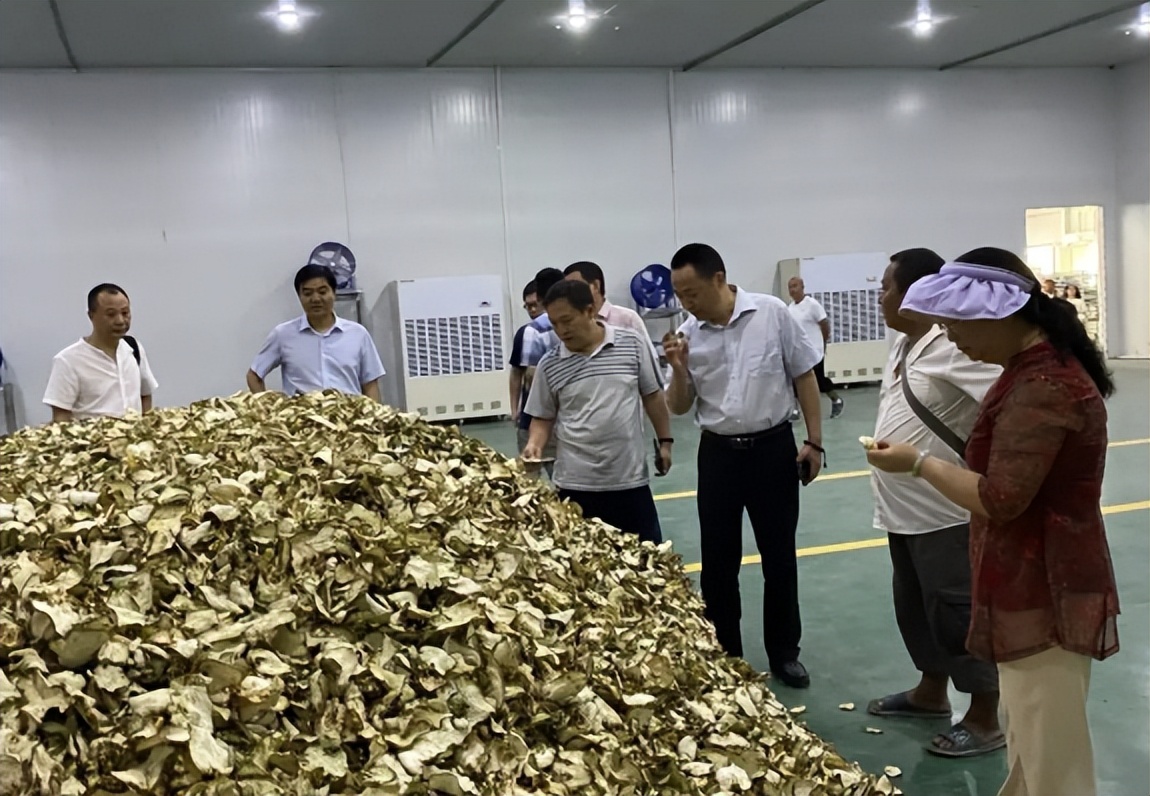 四川省药监局“川产道地”专家组到乐山调研指导中药材产业发展