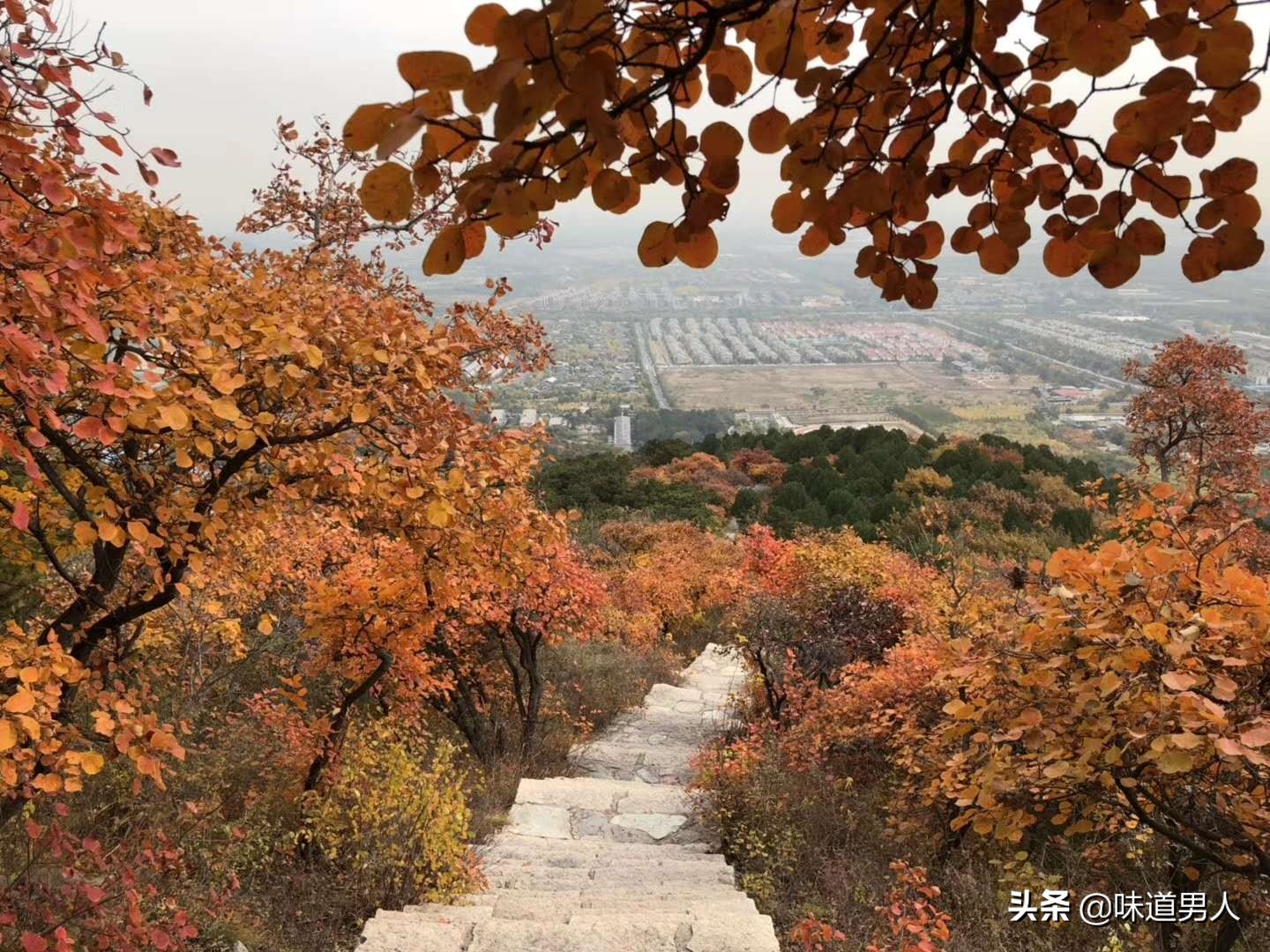 一个人的面相里，除了反映个人的命运，更体现了时代的命运