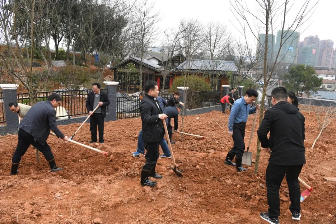 创国家森林城市 建怀化绿色家园 黎春秋王建球李万千印宇鹰等参加义务植树活动