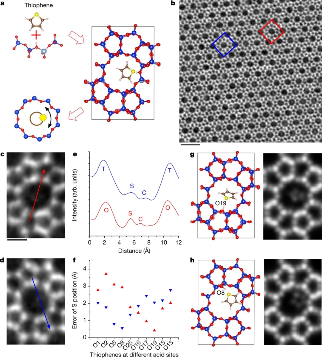 清华大学魏飞团队研究成果今日再登Nature：单分子成像技术