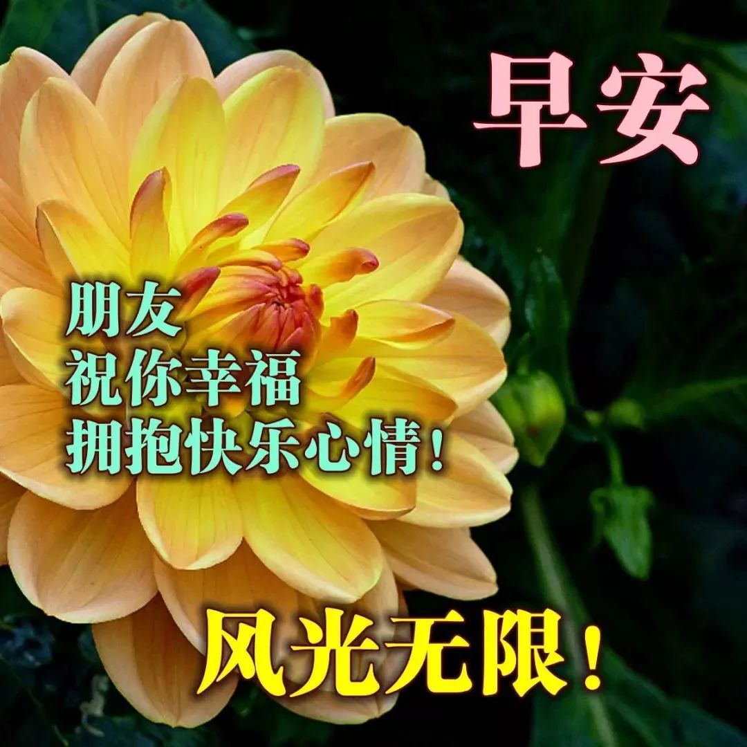 星期三早上好祝福语 问候语表情图片 人不老心情好 好运好事跟你跑图片