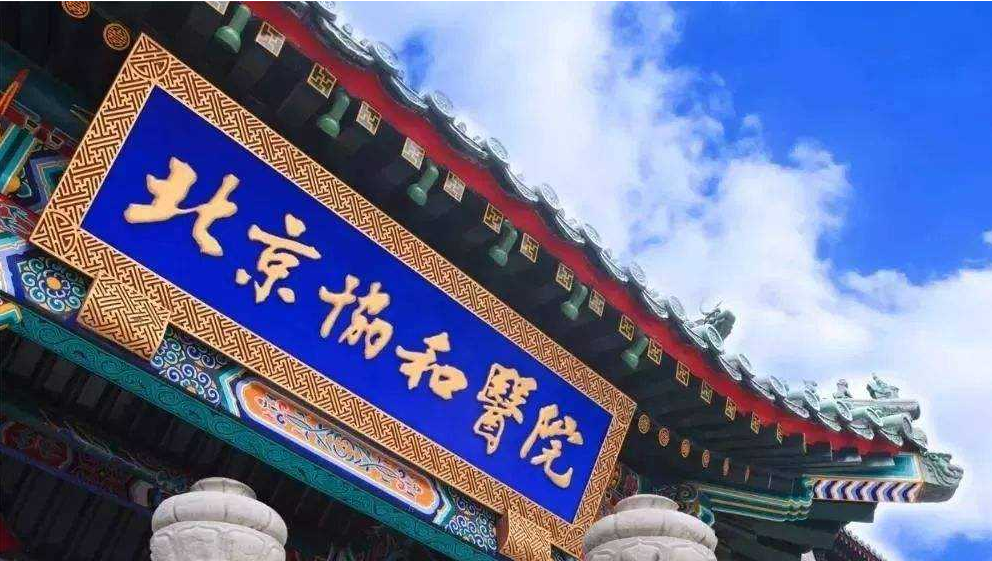医学院“四大天王”排名更新，协和高分领跑，北大医学部跻身第三