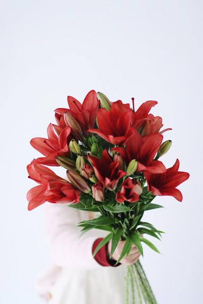 师徒情深！中考作文参考范文《你的馈赠点燃了我》