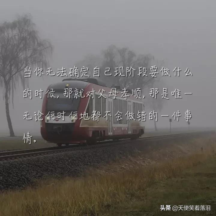 简短好句分享(消失宾妮经典语录)