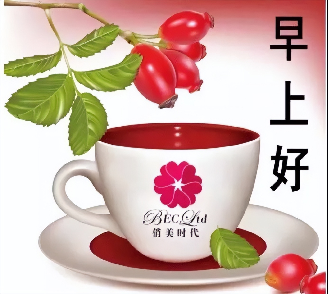 感恩节清早问候大家早上好的早安祝福语图片，相遇最美、感谢有你图片