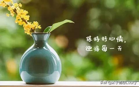 “我不想说他了，好恼火”：成年人高级的养生，从不生气开始
