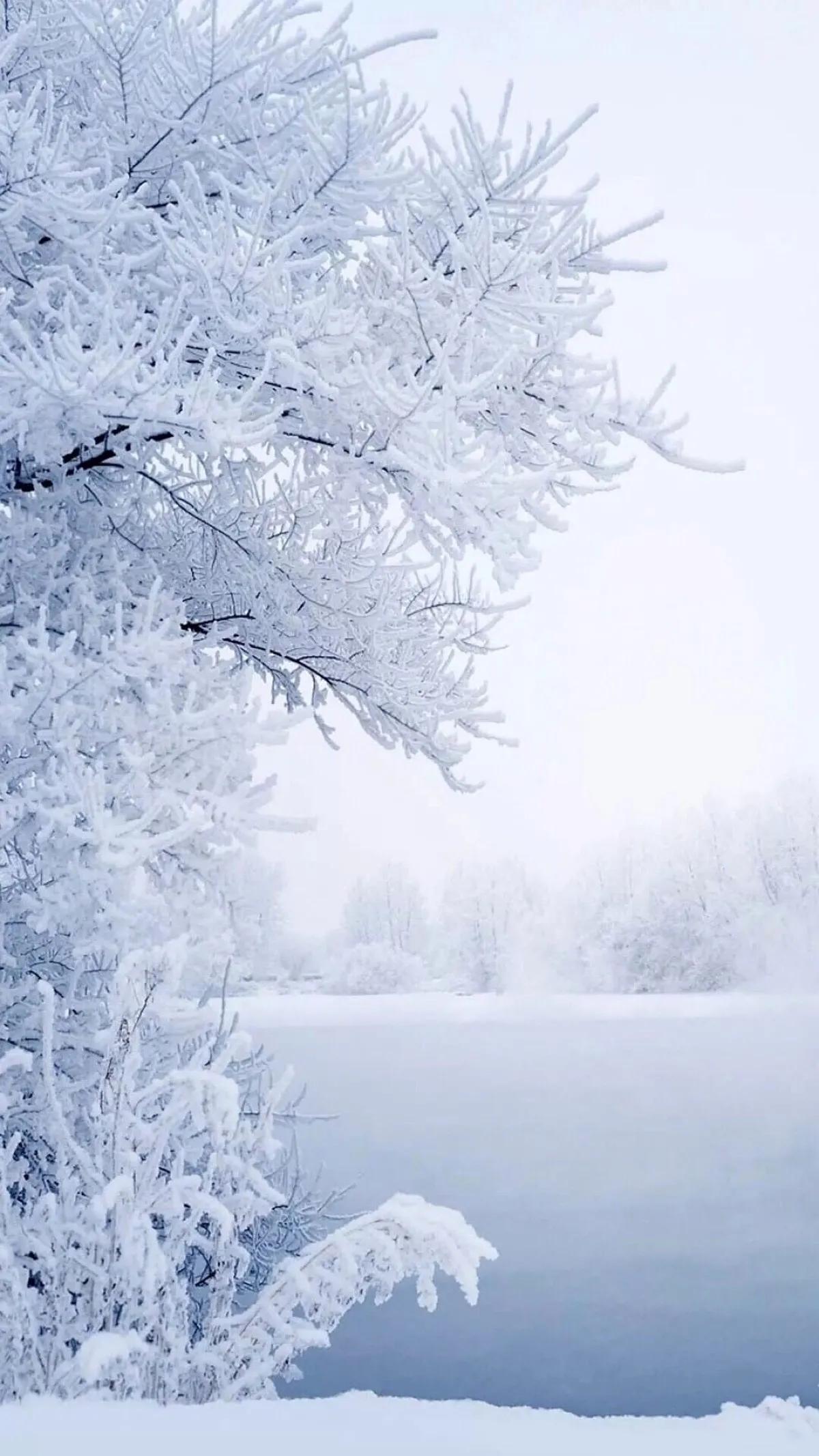 关于雪的唯美标题图片