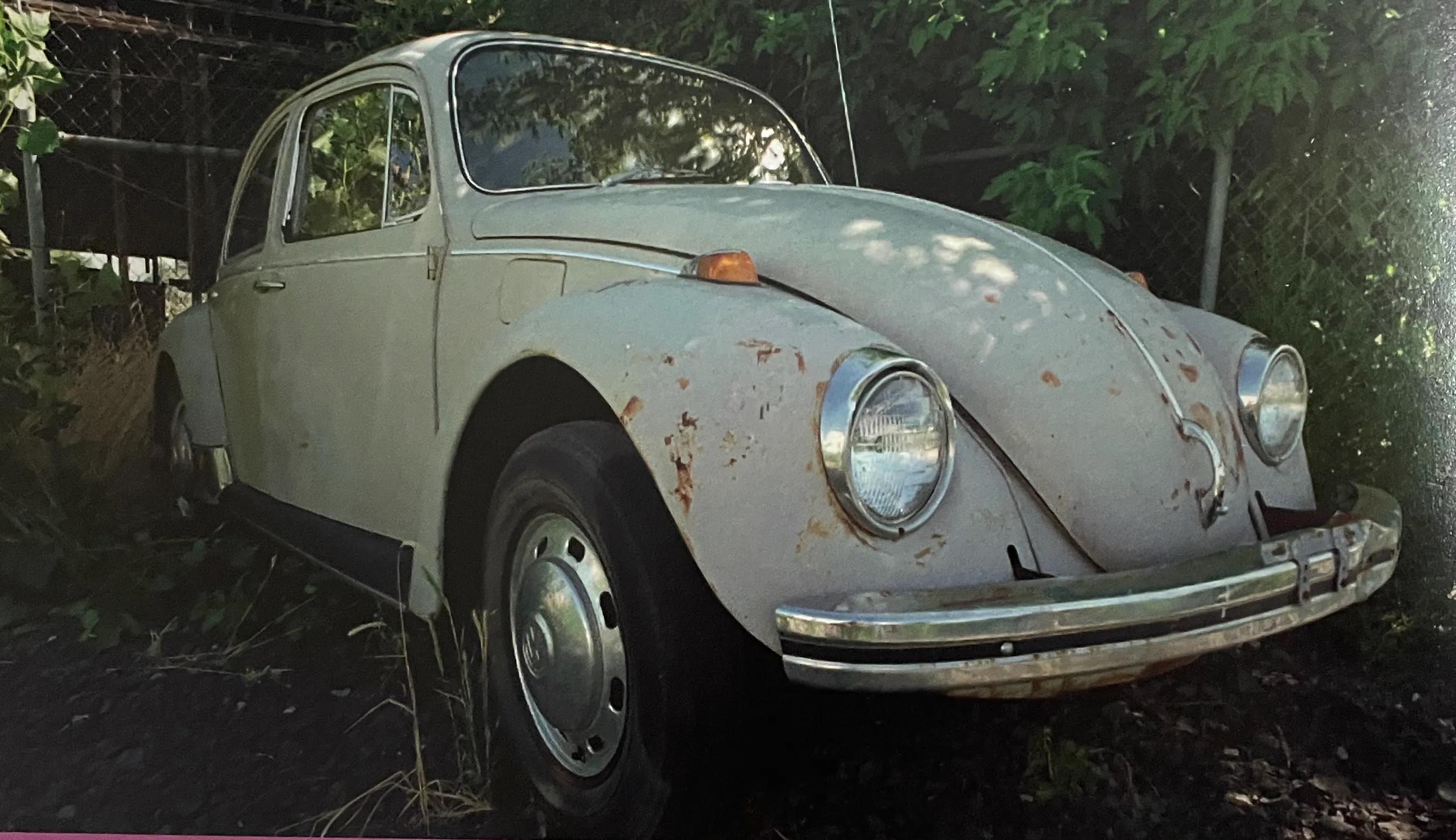 无罪恶感的大学生杀人犯—泰德·邦迪