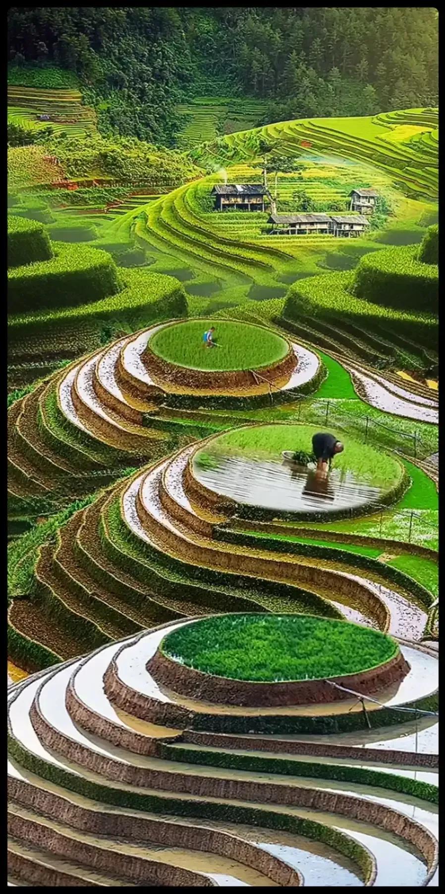 祖国的大好河山风景美如画