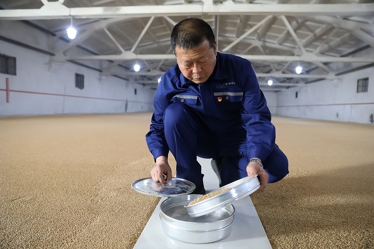 智能“机器人”1个顶3自动巡航值班，深入粮仓内部拯救谷物，啥样