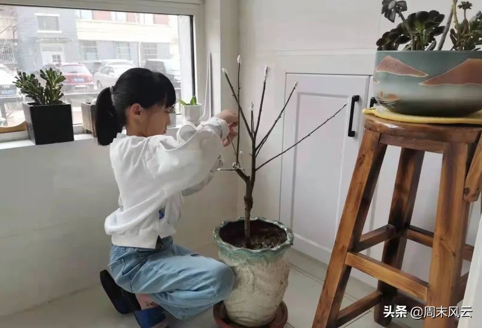 节能有我 绿色共享,节能有我绿色共享内容