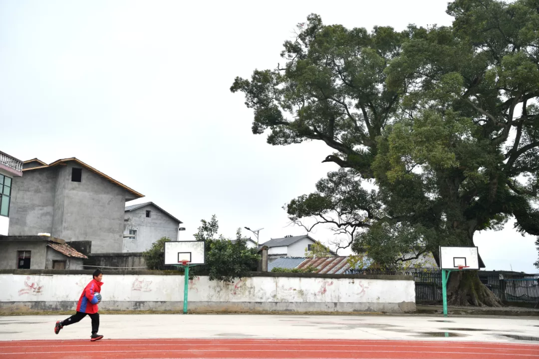 从乡村小学开始的“阅读复兴”