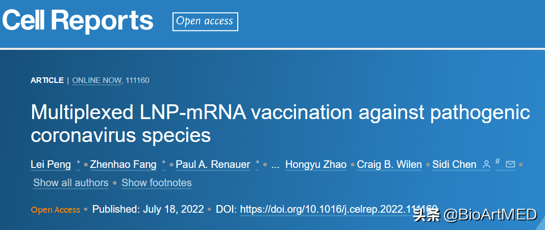 新冠疫苗四连！多价mRNA疫苗可有效预防多个种属的致重症冠状病毒