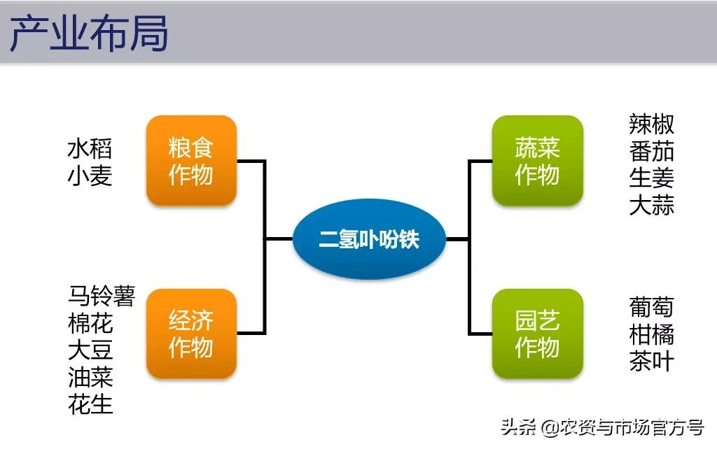 南京百特王迎春：专利化合物-二氢卟吩铁是行业划时代的创制