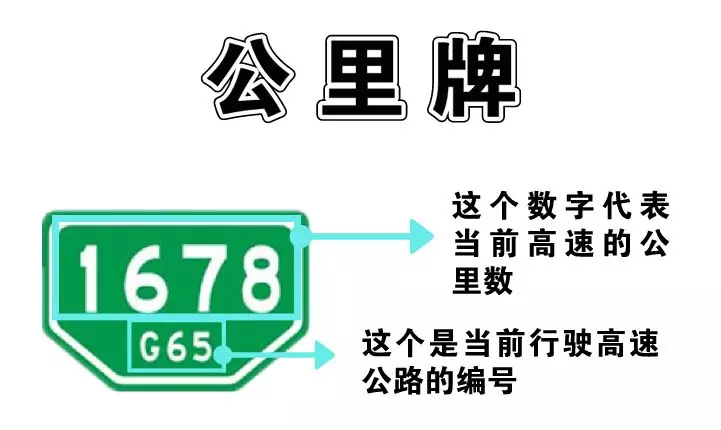 大河报汽车网