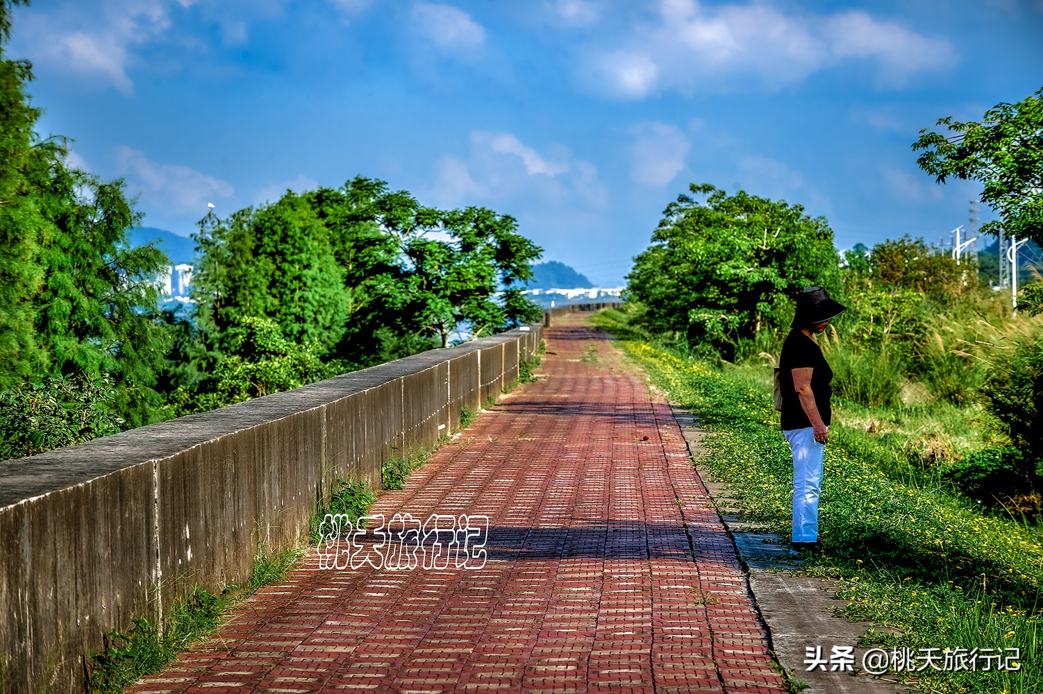 五一假期去哪里玩？珠海游玩上篇，这些景点值得打卡，景美又免费